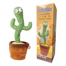 Cactus Bailarin
