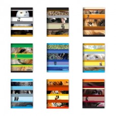 Cuaderndo Cuadriculado 48h America Cuaderndo Cuadriculado 48h America