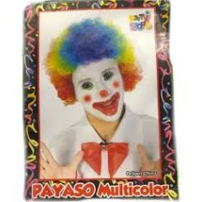 Peluca Mayaso Multicolor