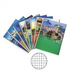 Cuaderno 16x21 C/espiral Cuadriculado Y Rallado 42h  Potosi