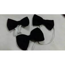 Mono Caballero